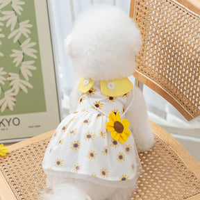 Dog Princess Dress Cute Pet Dog Mesh Dress Kitten Puppy Pet Skirt Summer Dog Dress Bow Lace Korean Poodle Chihuahua Dog Clothes