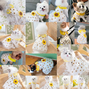 Dog Princess Dress Cute Pet Dog Mesh Dress Kitten Puppy Pet Skirt Summer Dog Dress Bow Lace Korean Poodle Chihuahua Dog Clothes