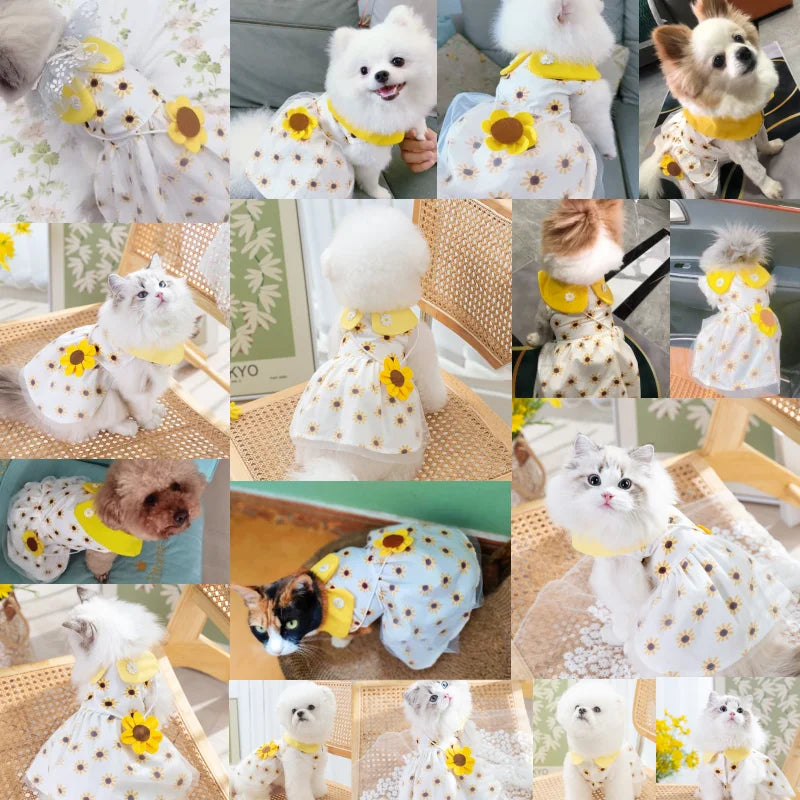 Dog Princess Dress Cute Pet Dog Mesh Dress Kitten Puppy Pet Skirt Summer Dog Dress Bow Lace Korean Poodle Chihuahua Dog Clothes