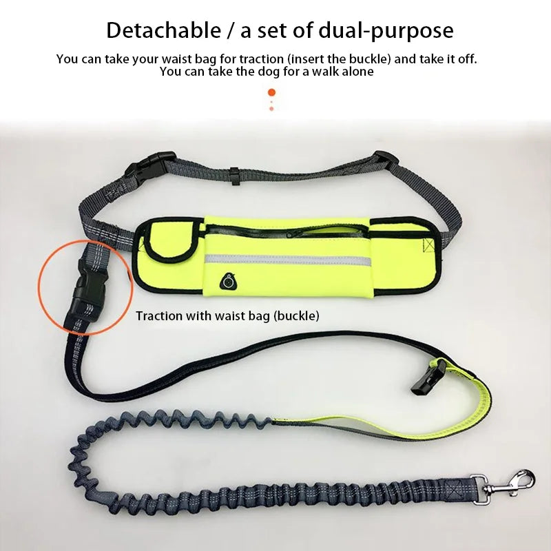 Running Dog Leash Nylon Hand Freely Pet Product Dog Harness Collar Jogging Leads Adjustable Waist Leashes Cat Traction Belt Rope